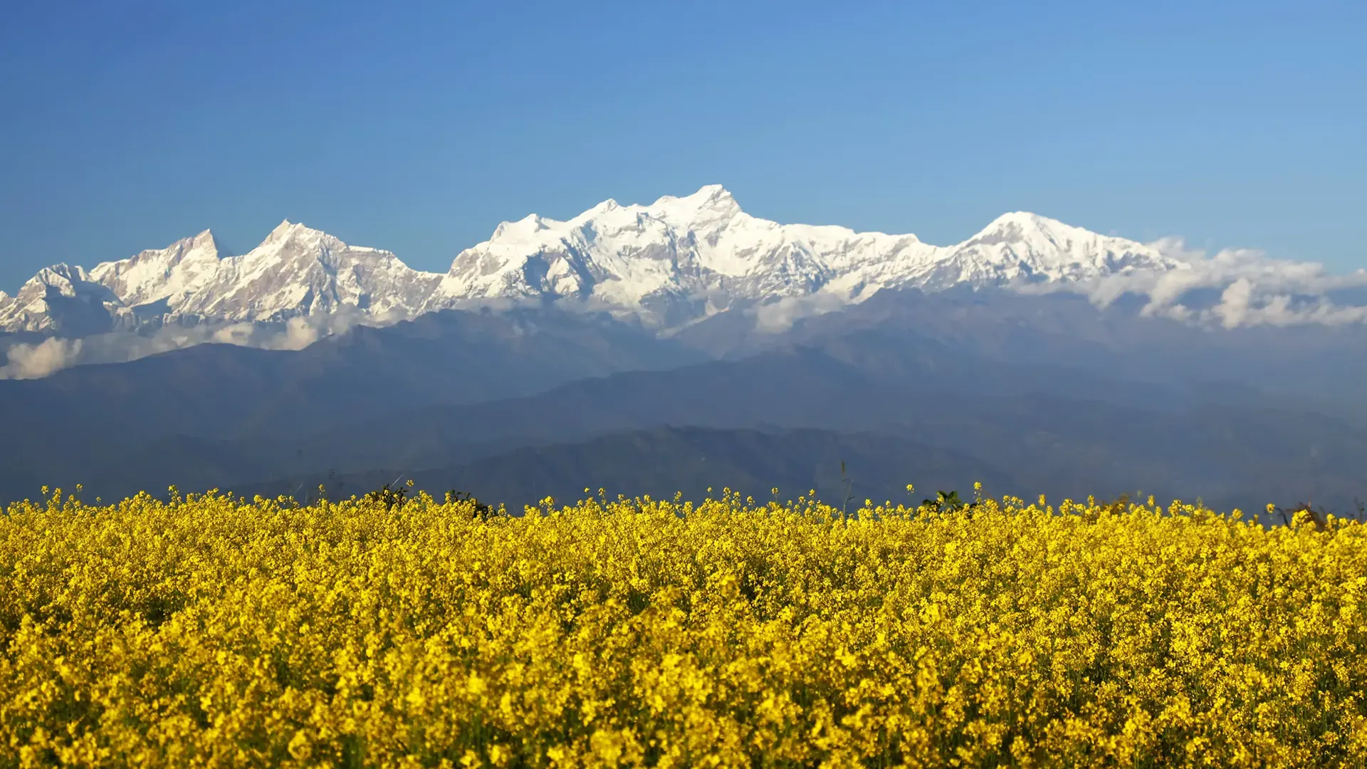Annapurna Range View