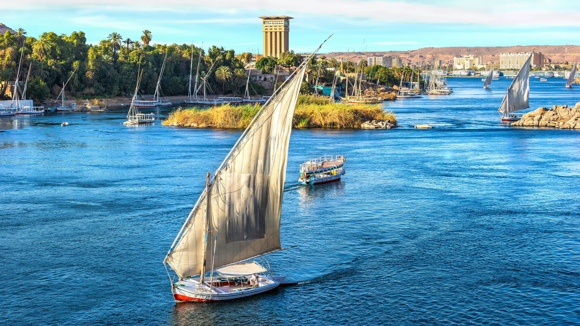 The Aswan