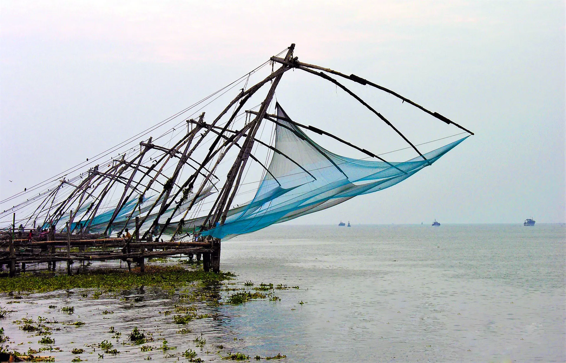 Chinese Fishing Nets