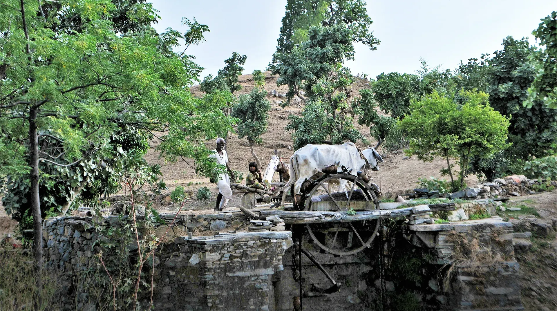 Drawing Water from a Well