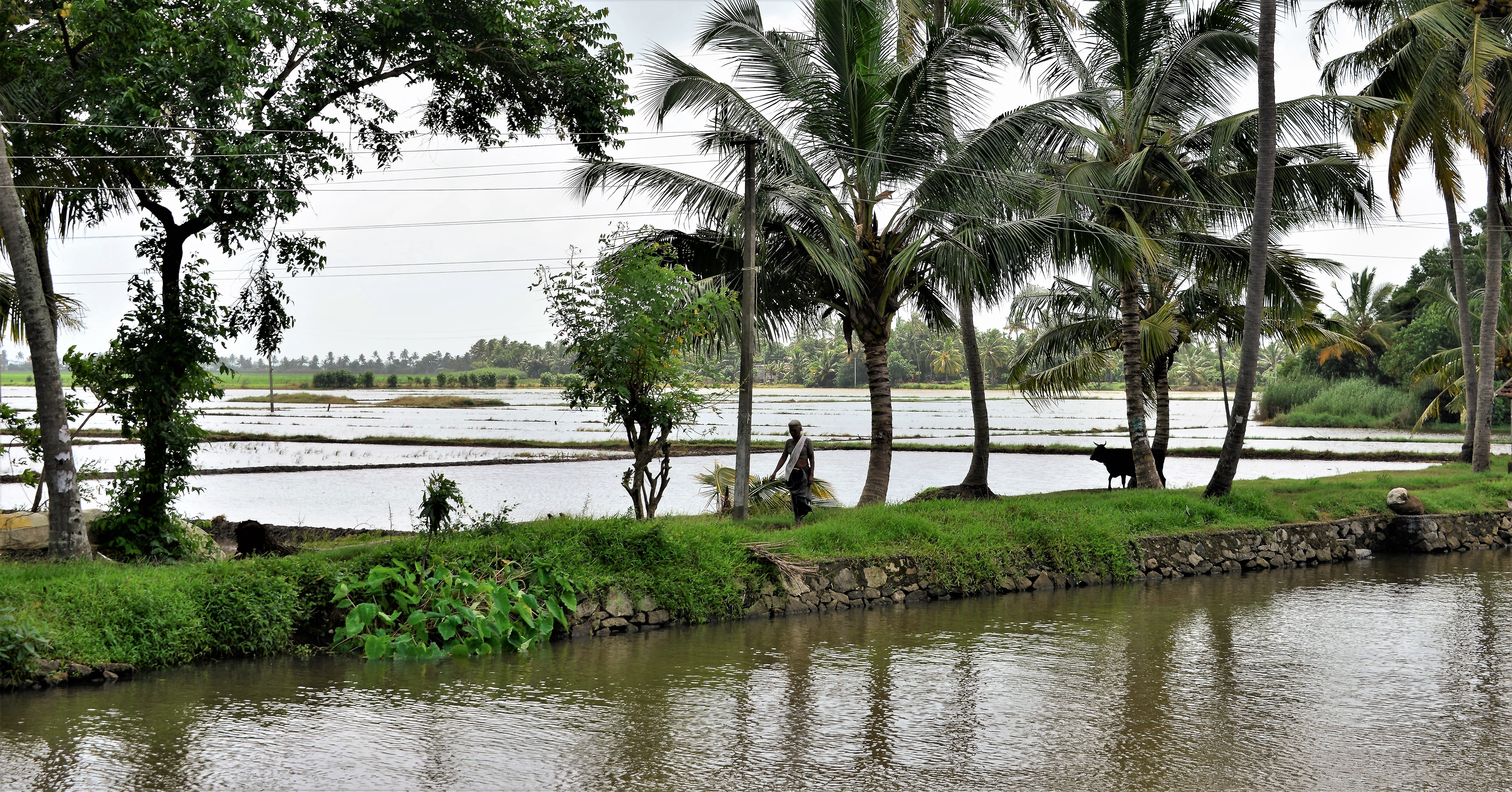 Farming and Fishing on Backwaters