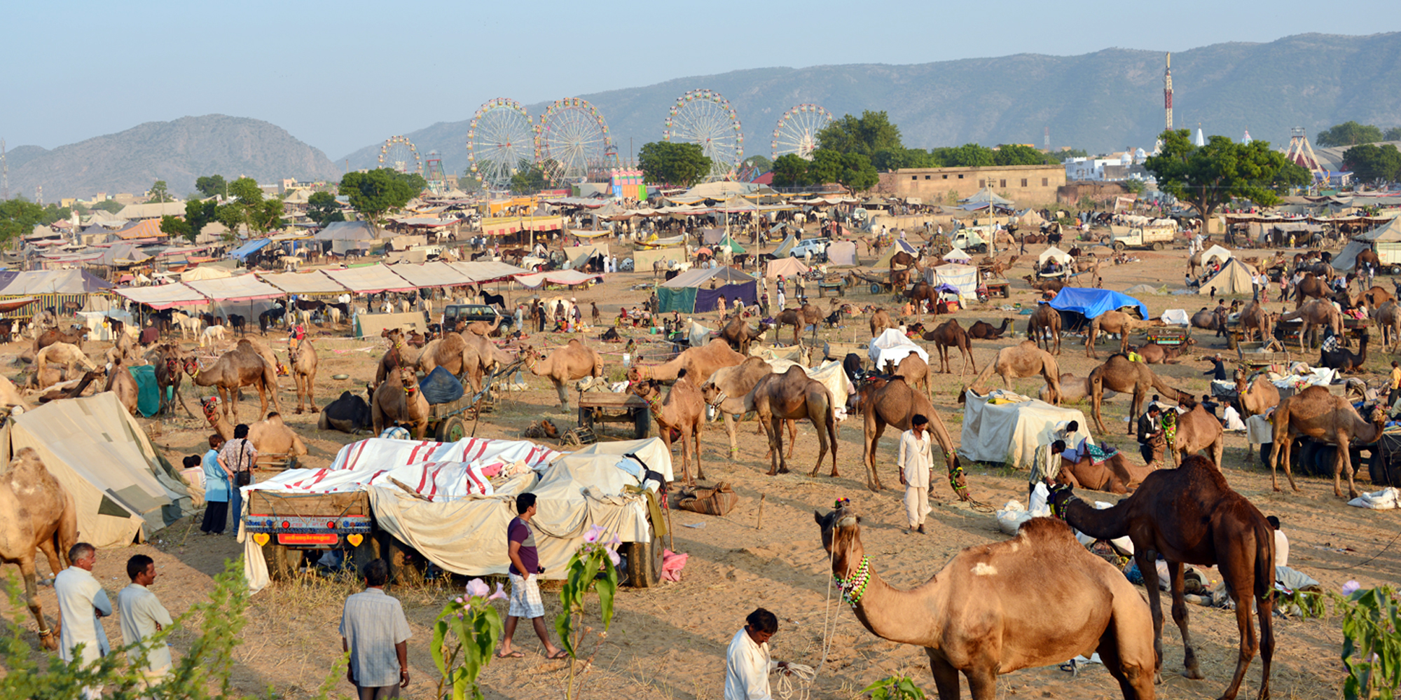 Pushkar Fair Tours