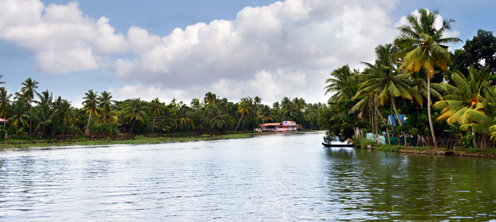 Cochin Backwater