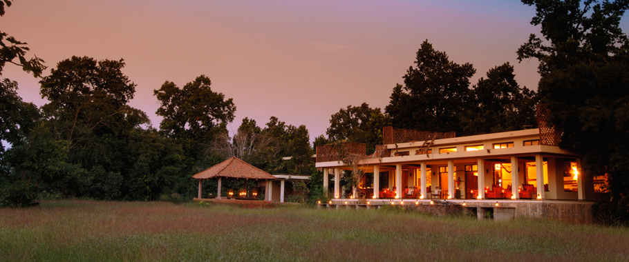 Taj Safaris