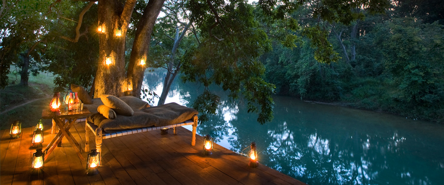 Taj Safaris