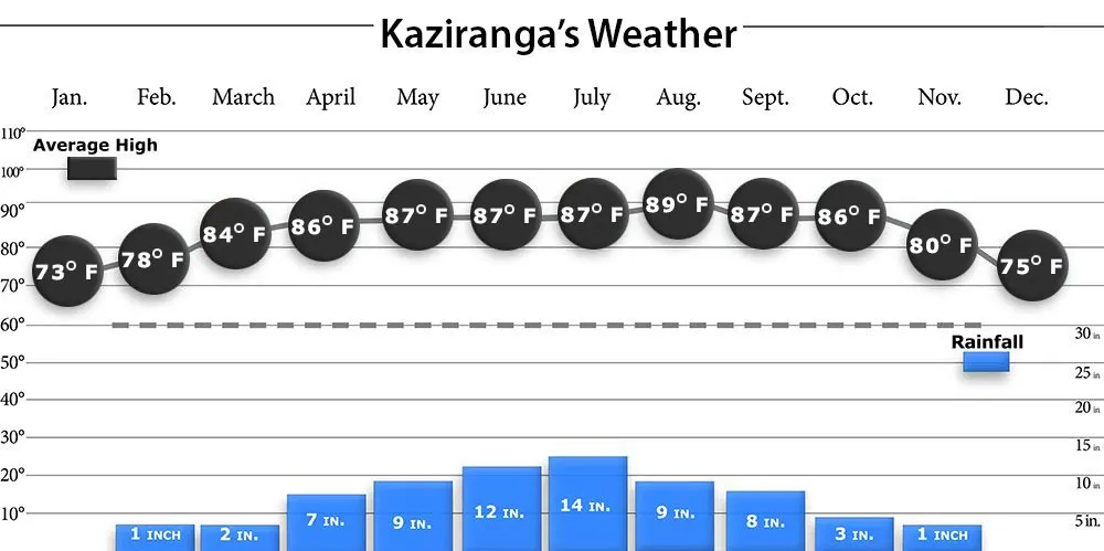 Kaziranga Weather