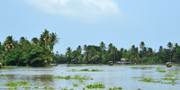 Backwaters - 