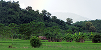 Chiang Rai Country Side, Thailand - 1 - 