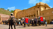 Elephants waiting for passengers  - Elephants waiting for passengers  