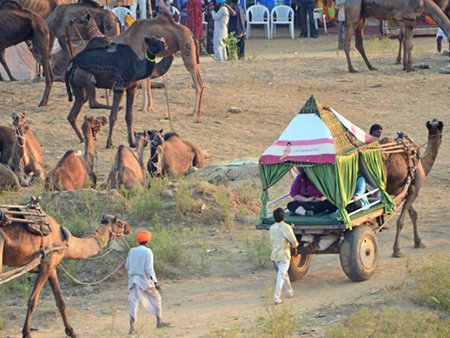 Pushkar Fair