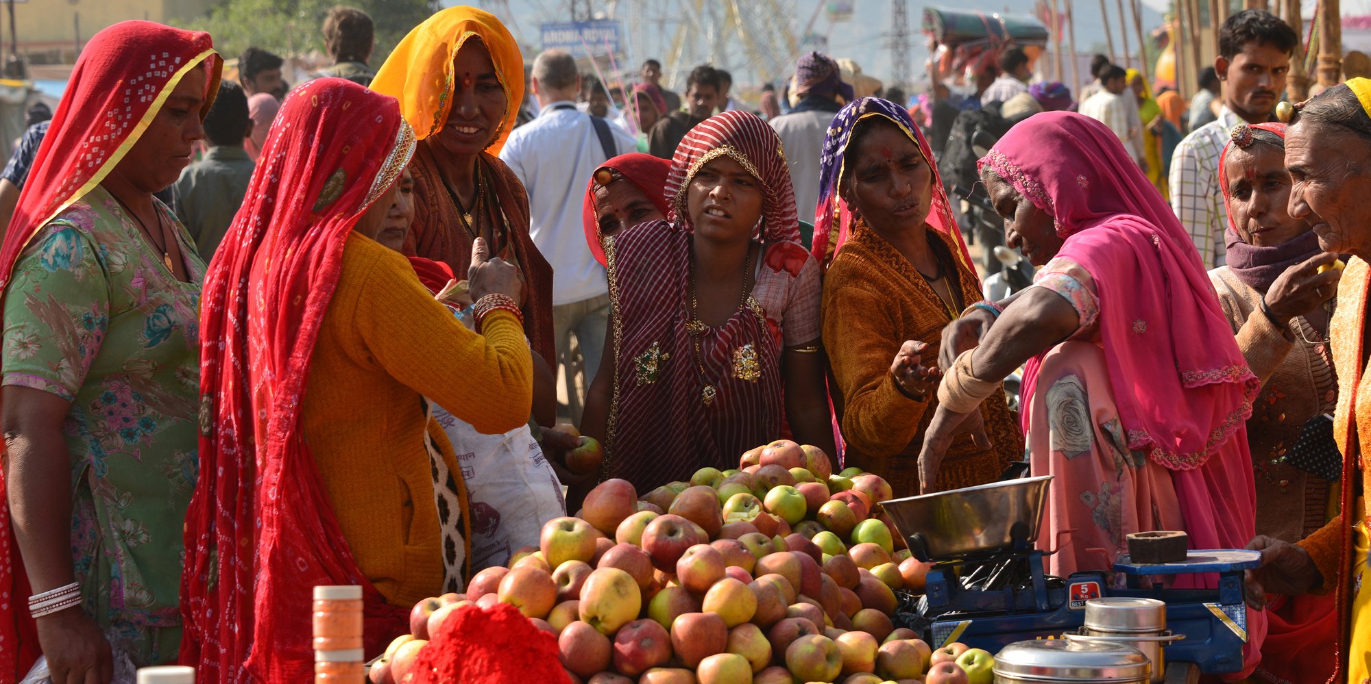 Shopping for Apples, Pushkar Fair