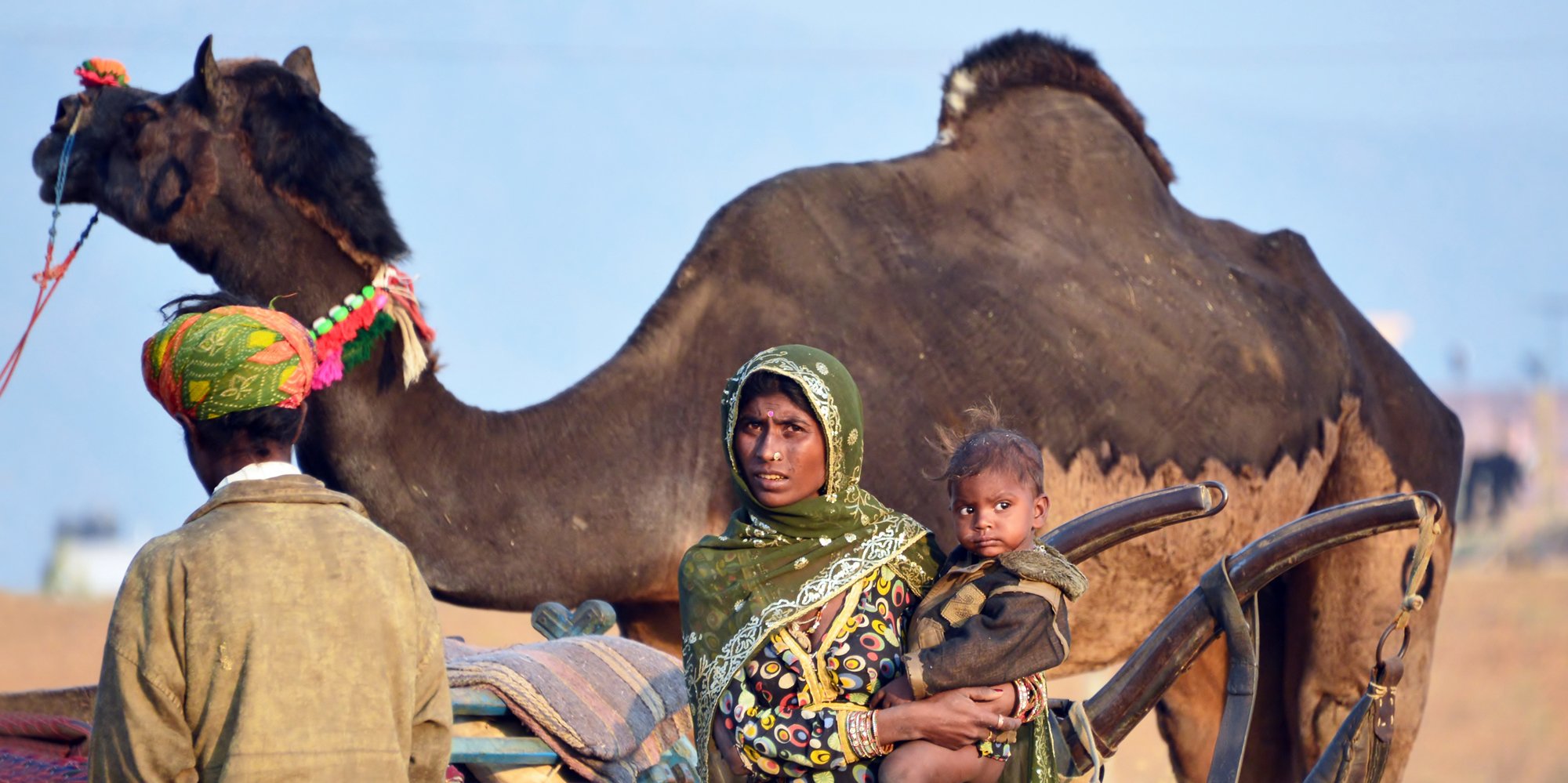 Curiosity, Pushkar Fair