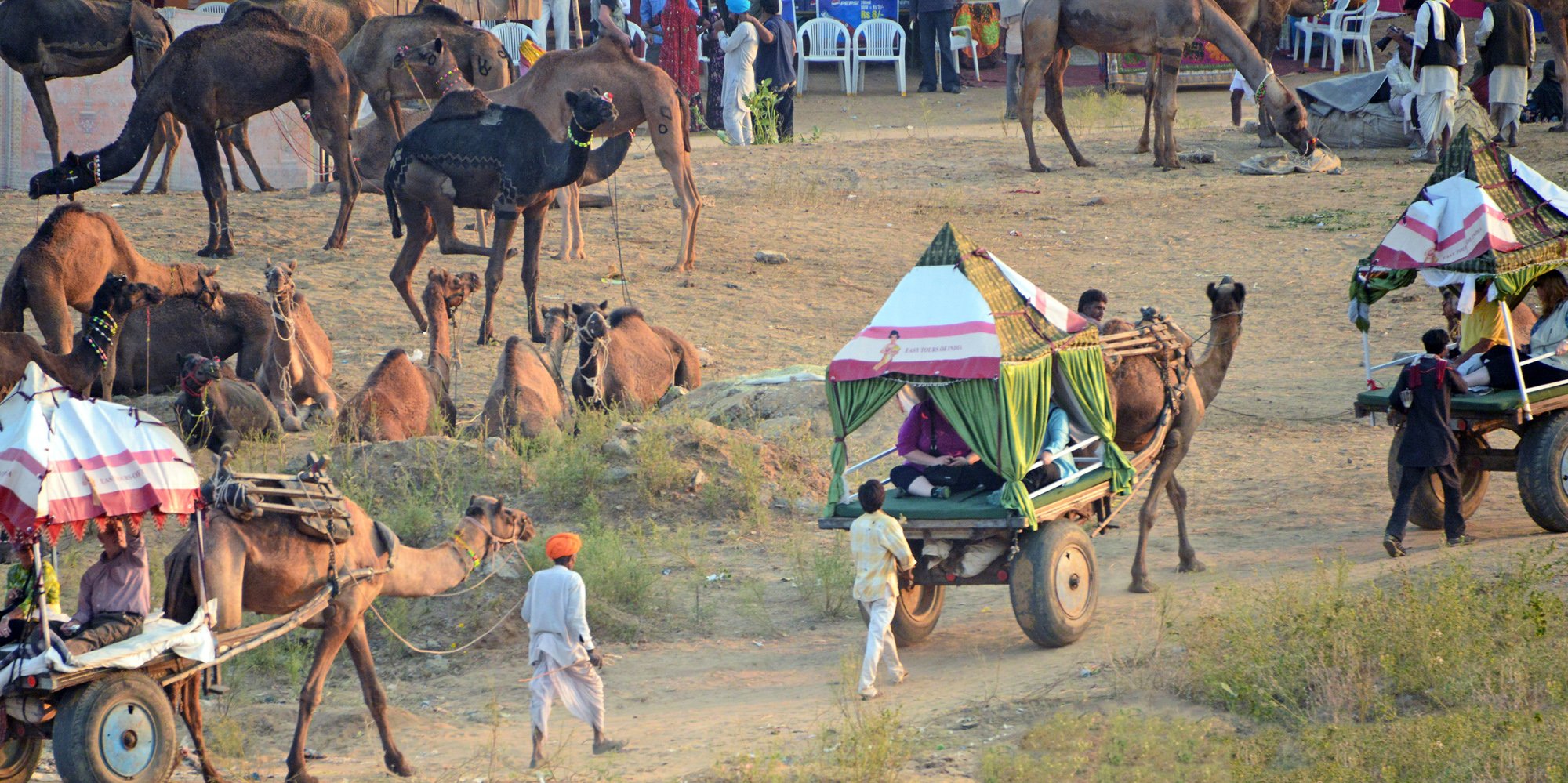 Pushkar Fair