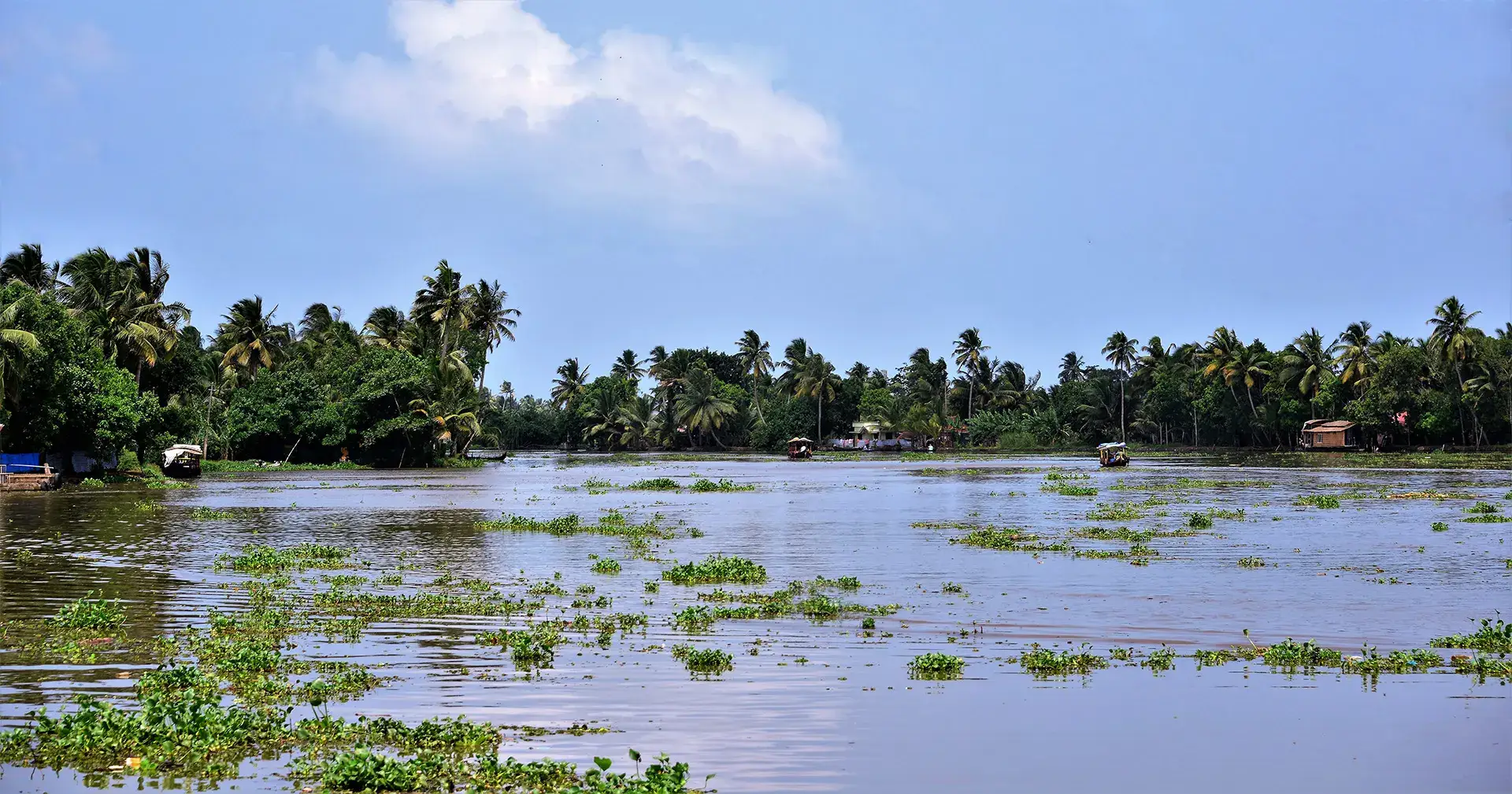 Backwaters of Kerala