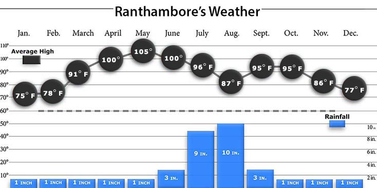 Ranthambore Weather Graphs