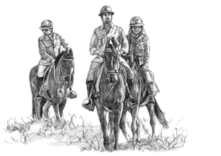 Horse Safari