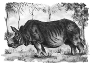 Royal Chitwan National Park